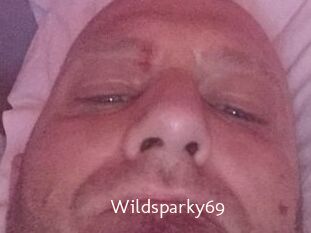 Wildsparky69