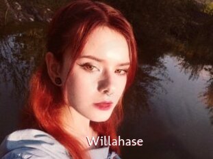 Willahase