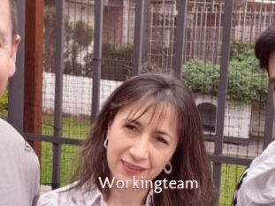 Workingteam