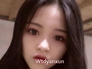 Wtdyanxun