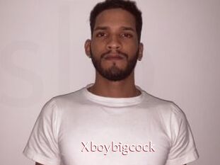 Xboybigcock