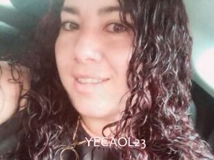 YECAOL23