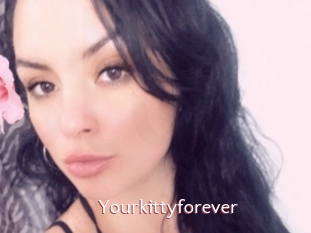 Yourkittyforever