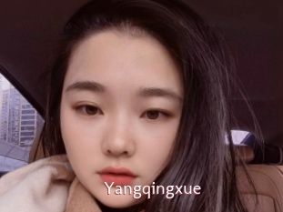 Yangqingxue