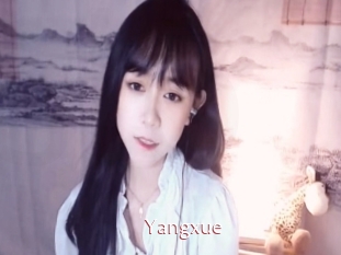 Yangxue