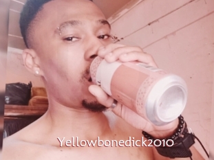 Yellowbonedick2010