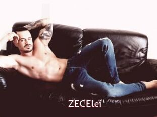 ZECElei