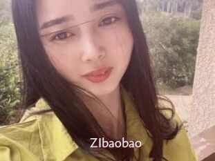 ZIbaobao