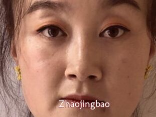 Zhaojingbao