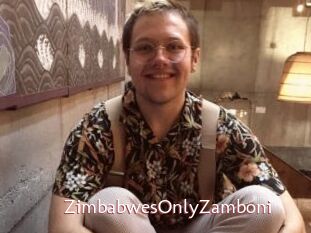 ZimbabwesOnlyZamboni