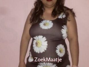 ZoekMaatje