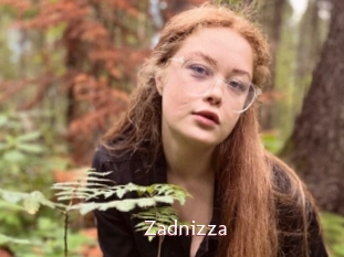 Zadnizza