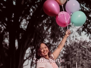 Zattinmartin