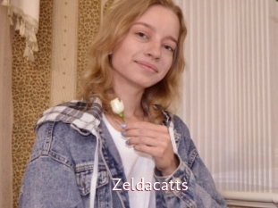 Zeldacatts