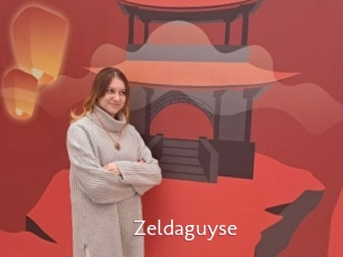 Zeldaguyse