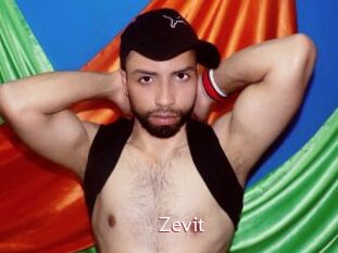 Zevit
